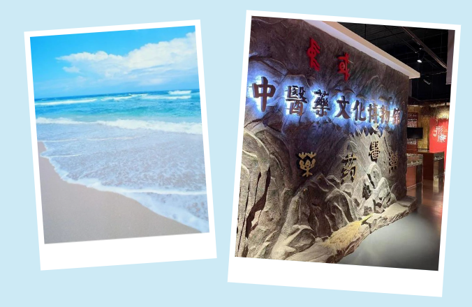 中医心理又一次在威海基地落地生花——精彩纷呈的中医心理师中高级班和特色技术工作坊